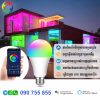 smart bulb